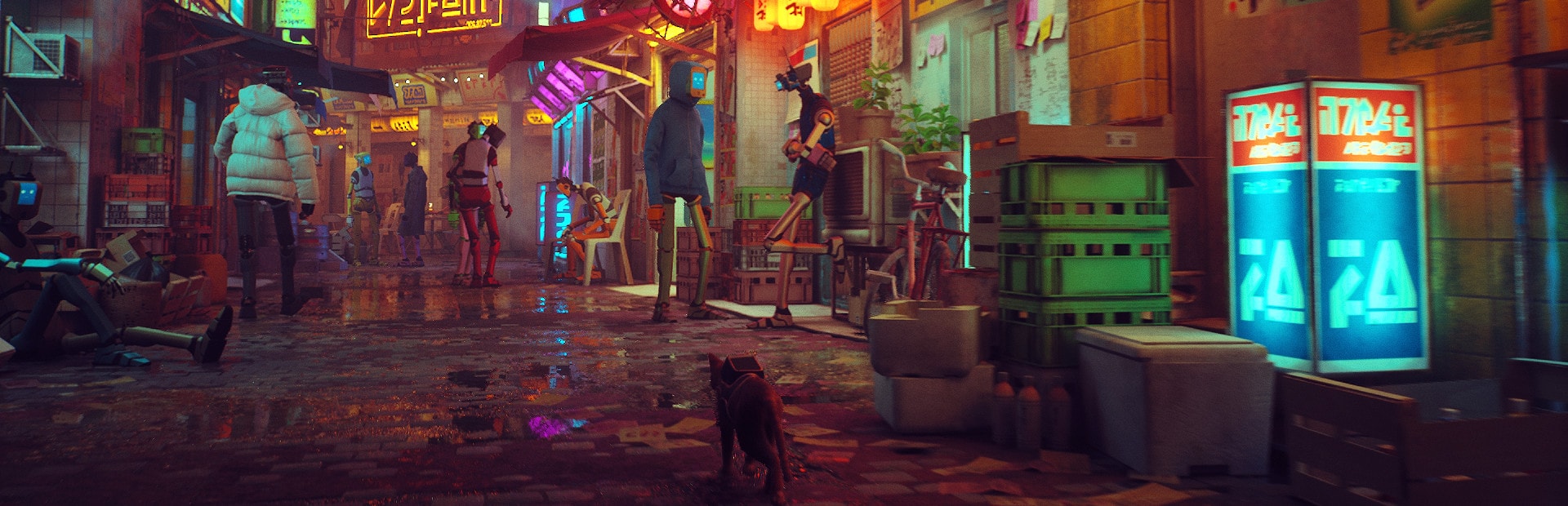 Stray