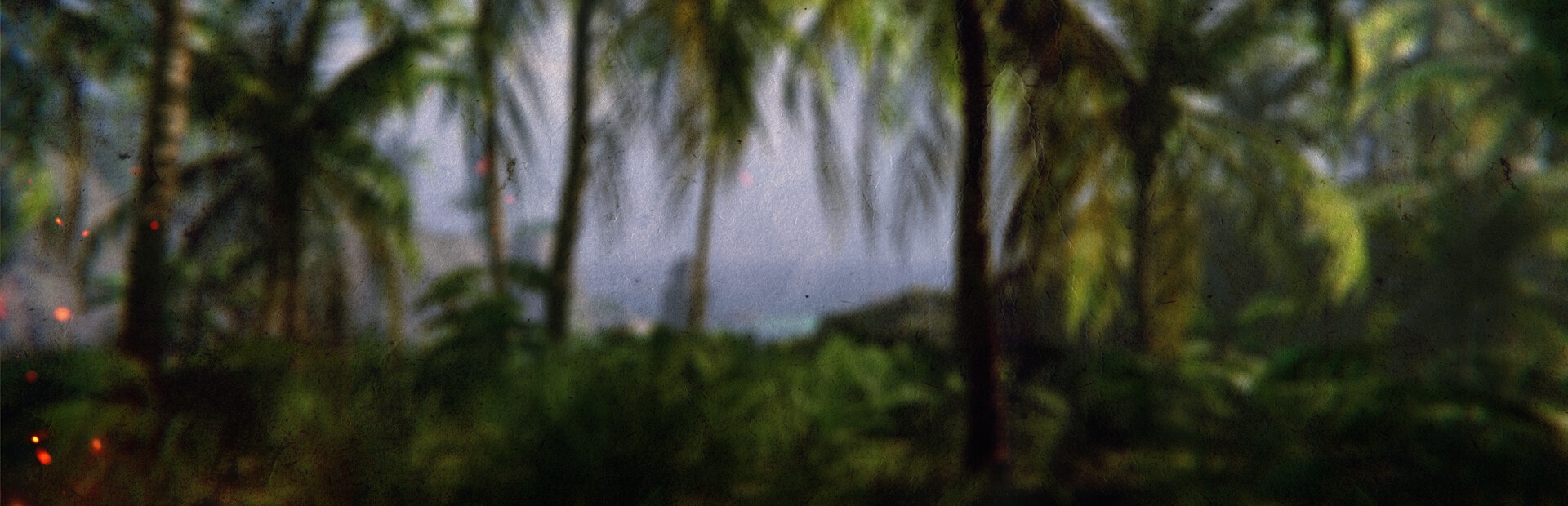 Project Castaway