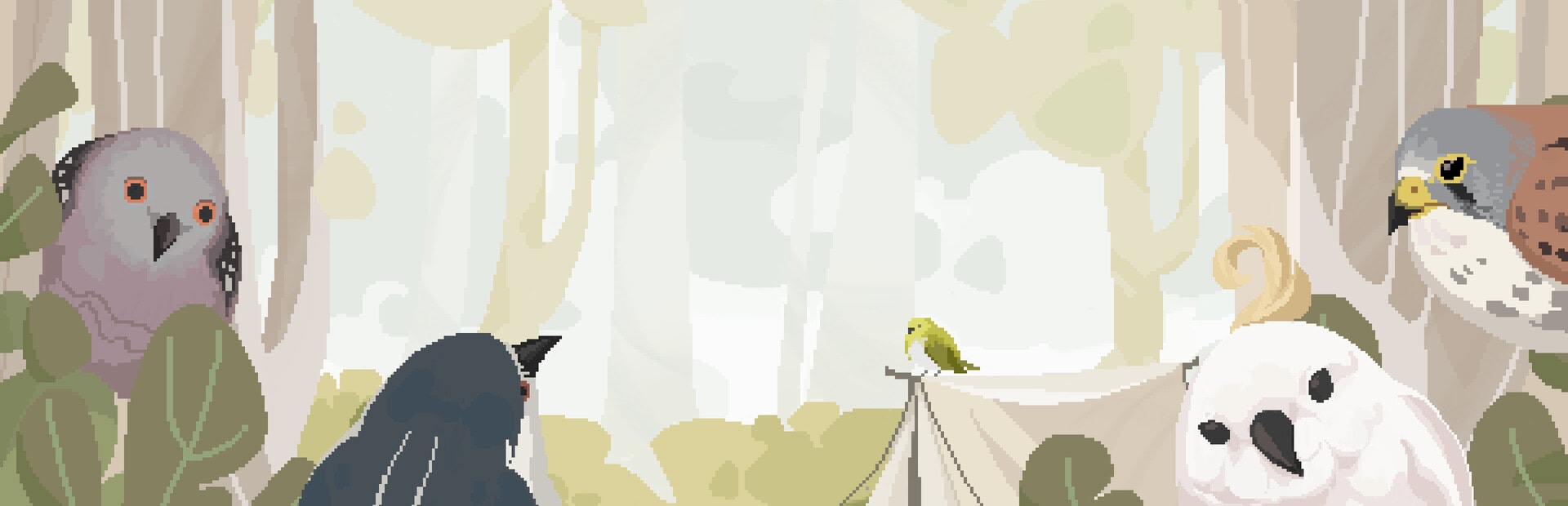 Birdwatching Notebook
